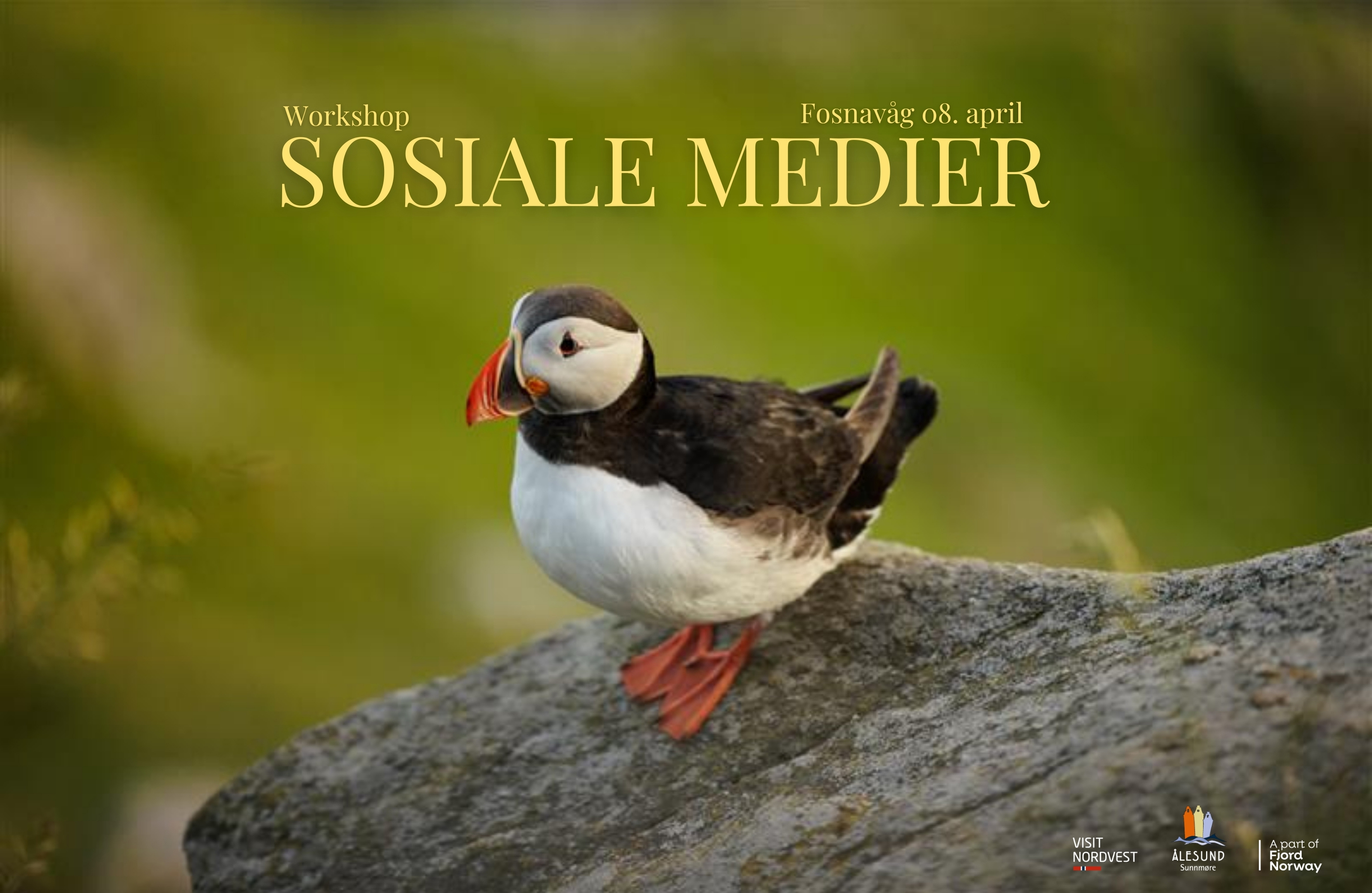 Sosiale mediekurs Fosnavåg